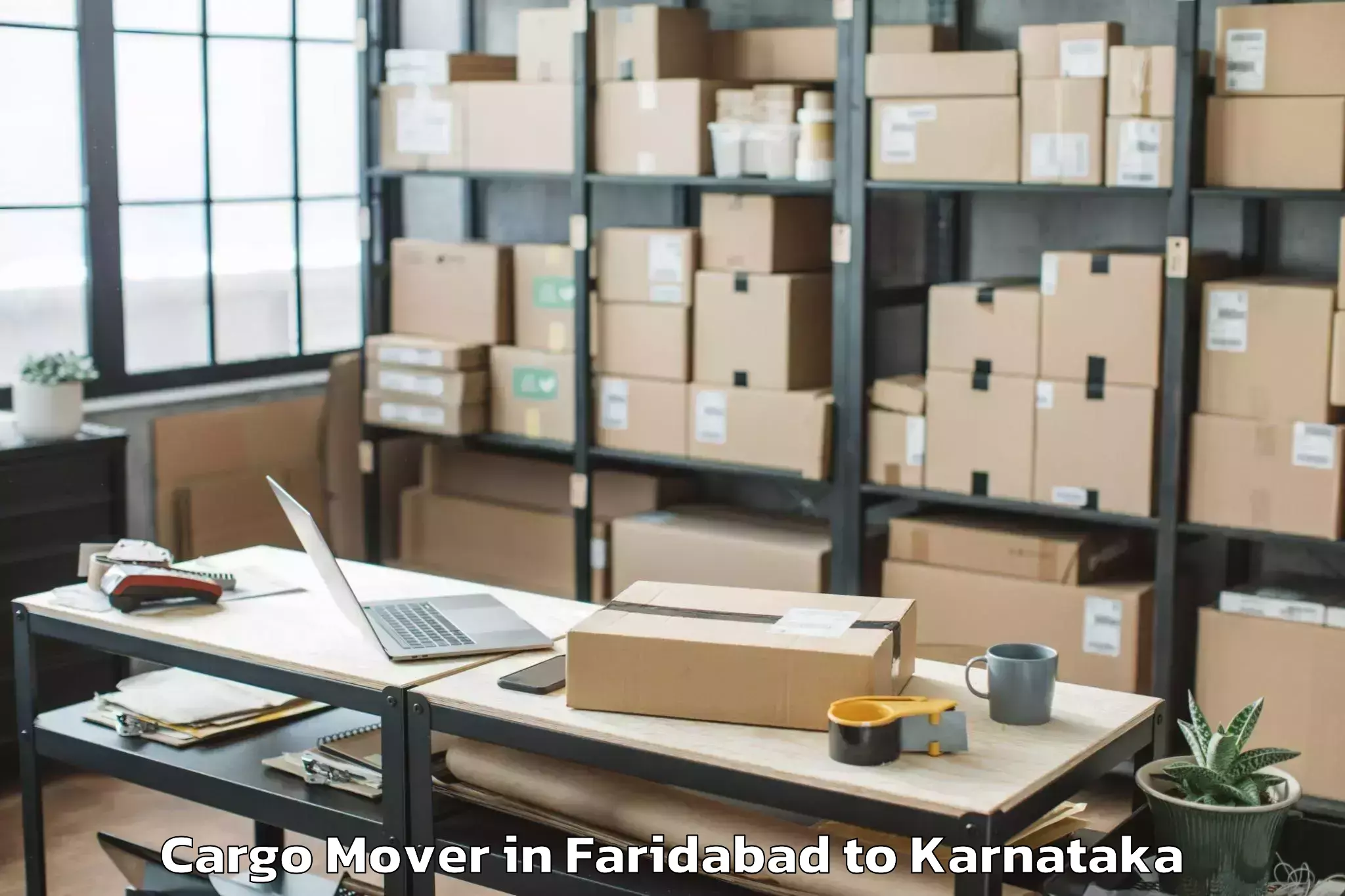 Book Faridabad to Bellur Cargo Mover